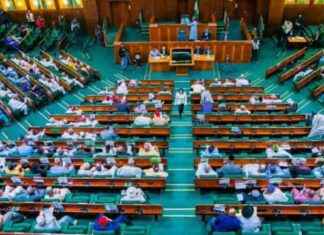 2024 Capital Budget: Reps Lament 25% Implementation – Daily Trust 2024-capital-budget-reps-lament-25-mplementation-daily-trust