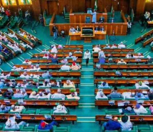 2024 Capital Budget: Reps Lament 25% Implementation – Daily Trust 2024-capital-budget-reps-lament-25-mplementation-daily-trust