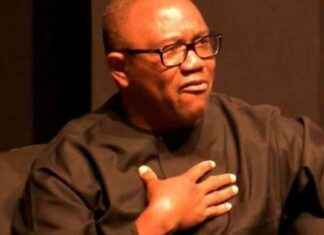 Death Threats Received over Comment on Tinubu Gov’t – Daily Trust death-threats-received-over-comment-on-tinubu-govt-daily-trust