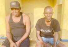 Estranged Husband Denies Deliberately Burning Wife’s Apartment – Daily Trust estranged-husband-denies-deliberately-burning-wifes-apartment-daily-trust