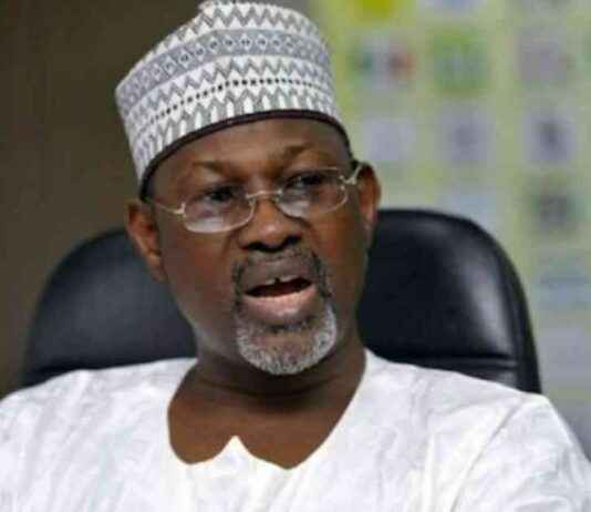 Foreign Investors Eyeing Nigeria’s Livestock Sector: Insights from Jega foreign-nvestors-eyeing-nigerias-livestock-sector-nsights-from-jega