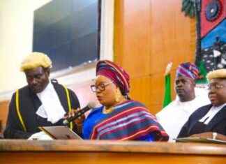 Mojisola Meranda: Lagos’ First Female Speaker – Daily Trust mojisola-meranda-lagos-first-female-speaker-daily-trust