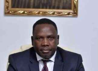 Presidency dismisses Kemi Badenoch’s rhetoric as ineffective – Daily Trust presidency-dismisses-kemi-badenochs-rhetoric-as-ineffective-daily-trust