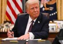 Trump Executive Order Could Reinstate Muslim Travel Ban – Daily Trust trump-executive-order-could-reinstate-muslim-travel-ban-daily-trust