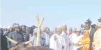 Zulum Praised by Minister and Jega for Herder Ranches – Daily Trust zulum-praised-by-minister-and-jega-for-herder-ranches-daily-trust