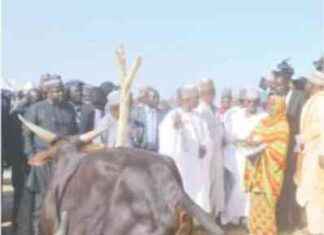 Zulum Praised by Minister and Jega for Herder Ranches – Daily Trust zulum-praised-by-minister-and-jega-for-herder-ranches-daily-trust