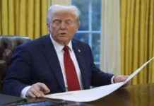 Donald Trump’s Immigration Policy: Bulldozing Undocumented Out of America donald-trumps-mmigration-policy-bulldozing-undocumented-out-of-america