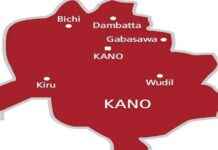 Fire destroys homes, livestock, and silos in Kano City fire-destroys-homes-livestock-and-silos-in-kano-city