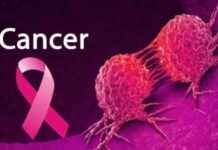Understanding Prostate Cancer: Silent Battle – Easy Health Tips understanding-prostate-cancer-silent-battle-easy-health-tips