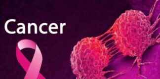 Understanding Prostate Cancer: Silent Battle – Easy Health Tips understanding-prostate-cancer-silent-battle-easy-health-tips