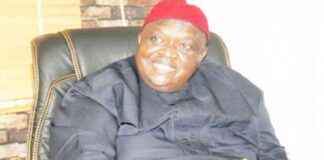 Iwuanyanwu’s Son Reveals Father’s Visit to Nnamdi Kanu – Insights wuanyanwus-son-reveals-fathers-visit-to-nnamdi-kanu-nsights