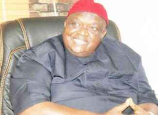 Iwuanyanwu’s Son Reveals Father’s Visit to Nnamdi Kanu – Insights wuanyanwus-son-reveals-fathers-visit-to-nnamdi-kanu-nsights