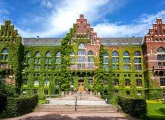 Study Opportunities in Europe: EU Guide for Nigerians study-opportunities-in-europe-eu-guide-for-nigerians