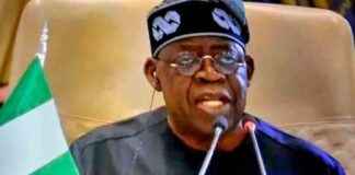 2027 North West Endorsement of Tinubu: Daily Trust 2027-north-west-endorsement-of-tinubu-daily-trust