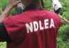 NDLEA intercepts N3.2bn opioids, arrests two octogenarians ndlea-intercepts-n32bn-opioids-arrests-two-octogenarians