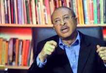 Pat Utomi Forms Shadow Government to Challenge Tinubu – Daily Trust pat-utomi-forms-shadow-government-to-challenge-tinubu-daily-trust