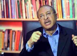 Pat Utomi Forms Shadow Government to Challenge Tinubu – Daily Trust pat-utomi-forms-shadow-government-to-challenge-tinubu-daily-trust