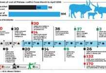 Plateau Conflict: Herders Lose N300m in 2 Months plateau-conflict-herders-lose-n300m-in-2-months