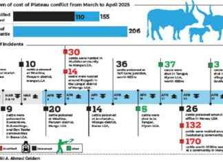 Plateau Conflict: Herders Lose N300m in 2 Months plateau-conflict-herders-lose-n300m-in-2-months