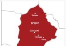 Troops and Hunters Repel Boko Haram Attack, Killing 5 in Borno troops-and-hunters-repel-boko-haram-attack-killing-5-in-borno