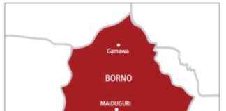 Troops and Hunters Repel Boko Haram Attack, Killing 5 in Borno troops-and-hunters-repel-boko-haram-attack-killing-5-in-borno