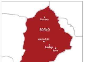Troops and Hunters Repel Boko Haram Attack, Killing 5 in Borno troops-and-hunters-repel-boko-haram-attack-killing-5-in-borno