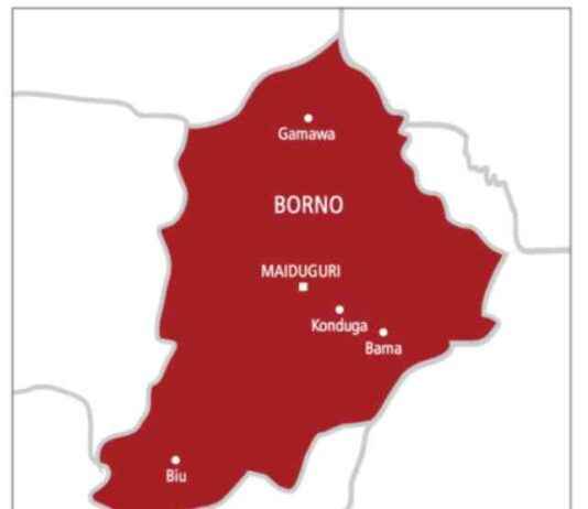 Troops and Hunters Repel Boko Haram Attack, Killing 5 in Borno troops-and-hunters-repel-boko-haram-attack-killing-5-in-borno
